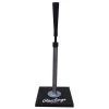 Rawlings Protee Pro Batting Tee