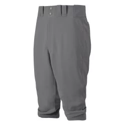 Mizuno Premier Short Men's Baseball Pants -Baseball Gear Shop 743f6a7ea216efb731e17598bb1b299e