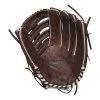 Wilson A900 12" Fielder's Baseball Glove